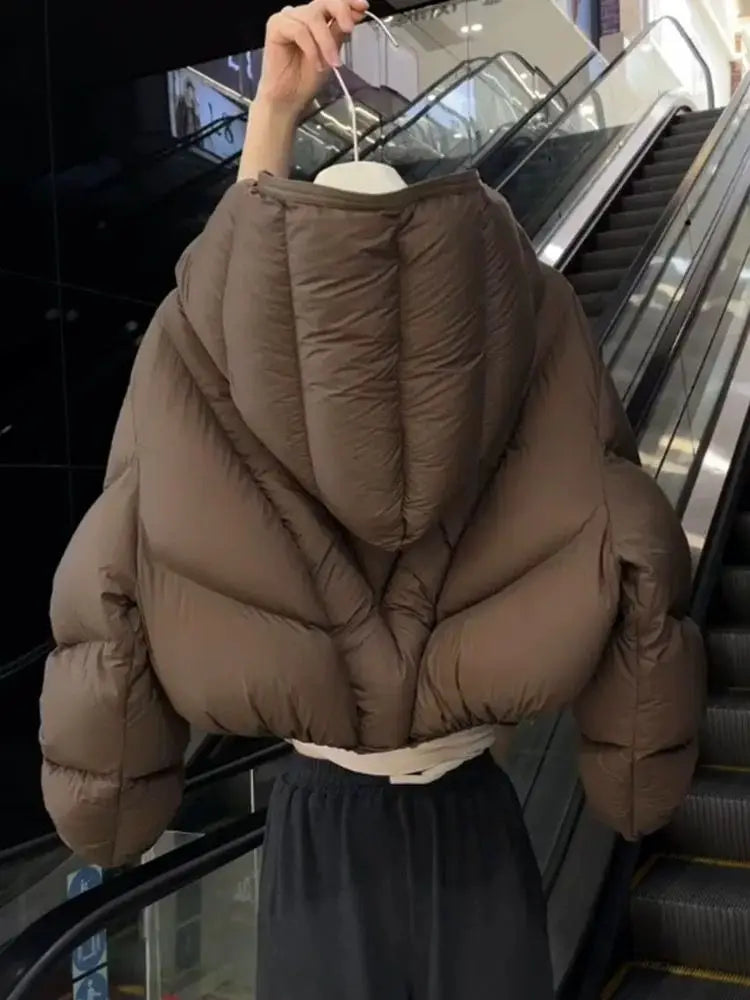 Winter Clothes Women Clothing Winter Pullover Sweatshirt Hoodie Warm Fashion Loose Workwear Thicken Cotton Jacket Parkas